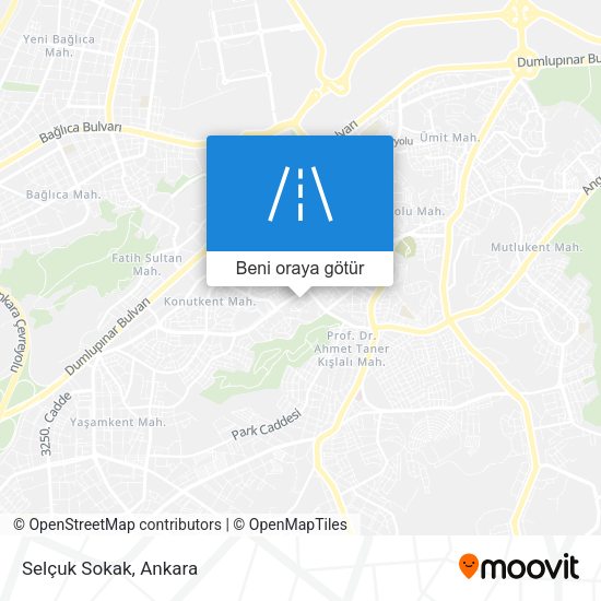 Selçuk Sokak harita