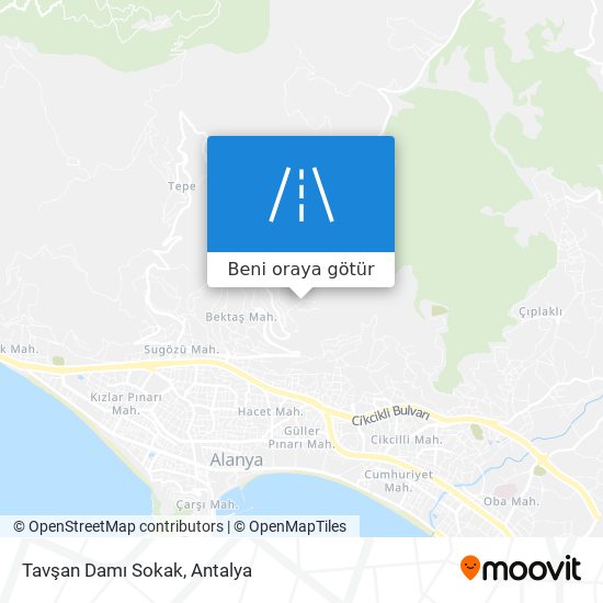 Tavşan Damı Sokak harita