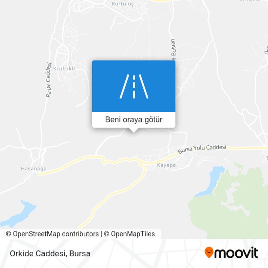 Orkide Caddesi harita