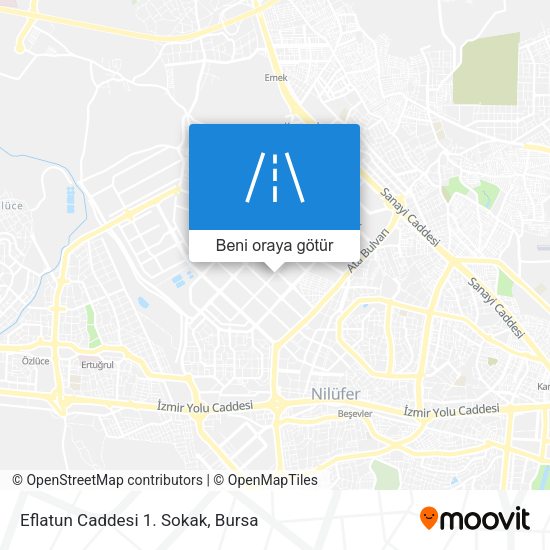 Eflatun Caddesi 1. Sokak harita