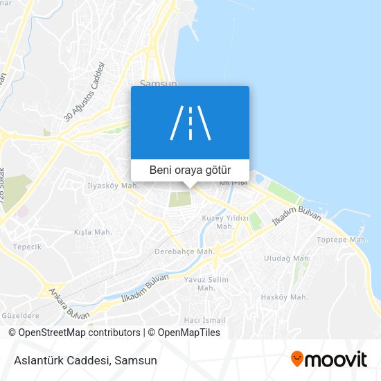 Aslantürk Caddesi harita