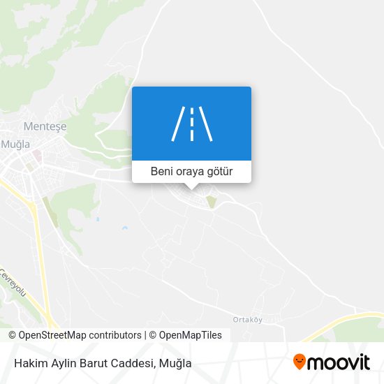 Hakim Aylin Barut Caddesi harita