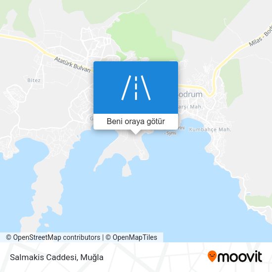 Salmakis Caddesi harita