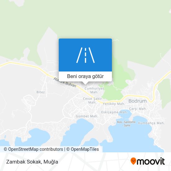 Zambak Sokak harita