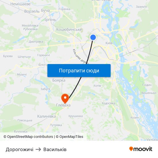 Дорогожичі to Васильків map