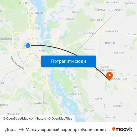 Дорогожичі to Международный аэропорт «Борисполь» (KBP) (Міжнародний аеропорт «Бориспіль») map