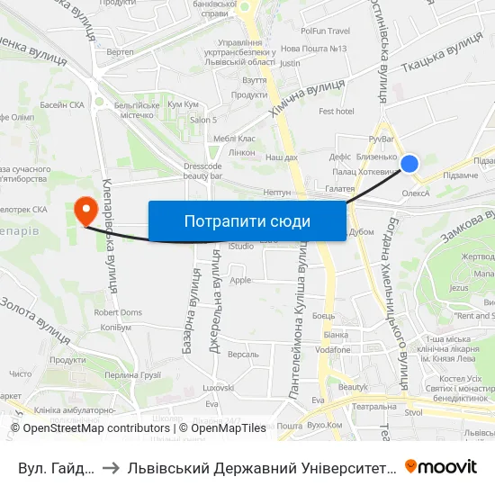 Вул. Гайдамацька to Львівський Державний Університет Безпеки Життєдіяльності map