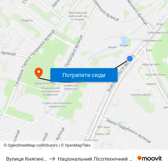 Вулиця Княгині Ольги to Національний Лісотехнічний Університет map
