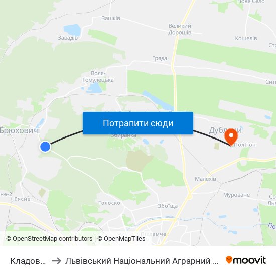 Кладовище to Львівський Національний Аграрний Університет map