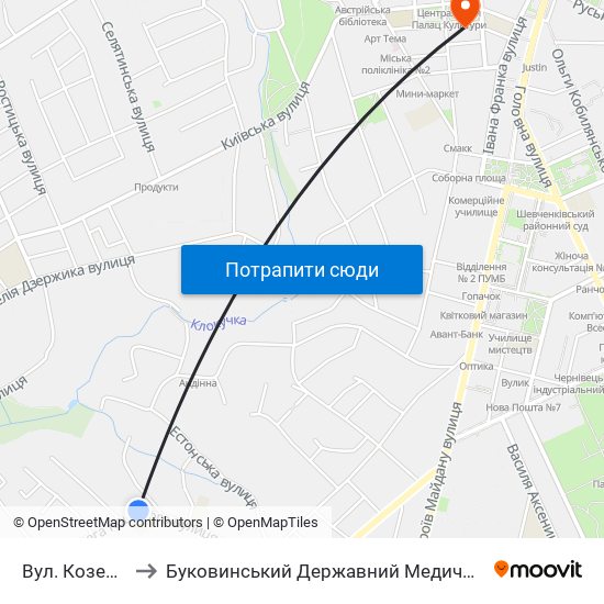 Вул. Козелецька to Буковинський Державний Медичний Університет map