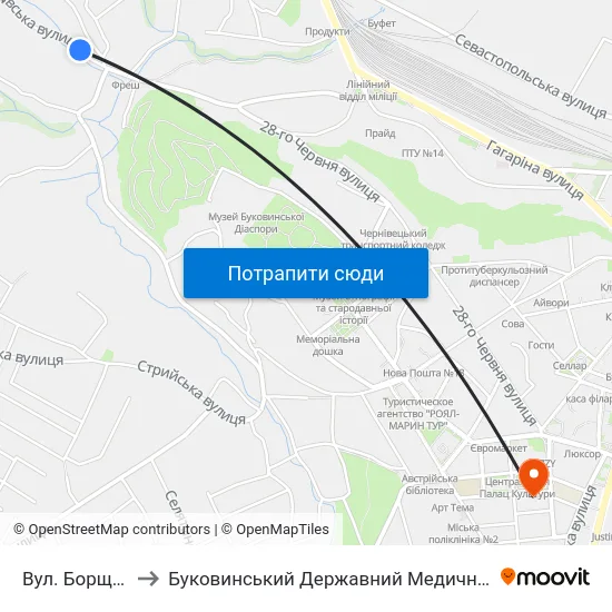 Вул. Борщівська to Буковинський Державний Медичний Університет map