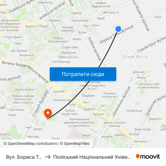 Вул. Бориса Тена to Поліський Національний Університет map