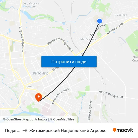 Педагогічний Ліцей to Житомирський Національний Агроекологічний Університет / Zhytomyr National Agroecological University map