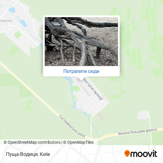 Карта Пуща-Водиця