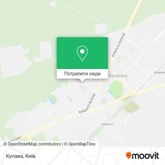 Карта Купава
