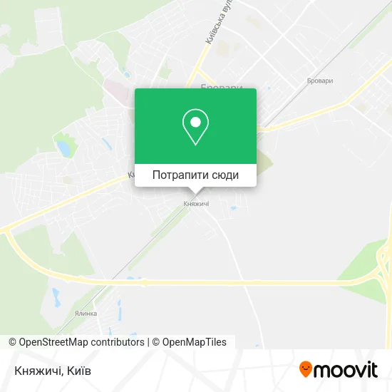 Карта Княжичі