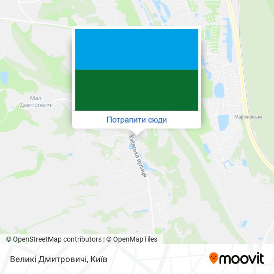Карта Великі Дмитровичі