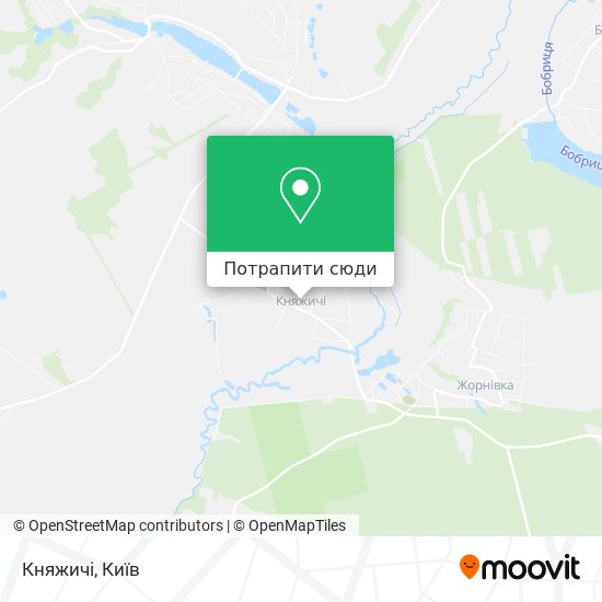 Карта Княжичі