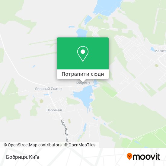 Карта Бобриця