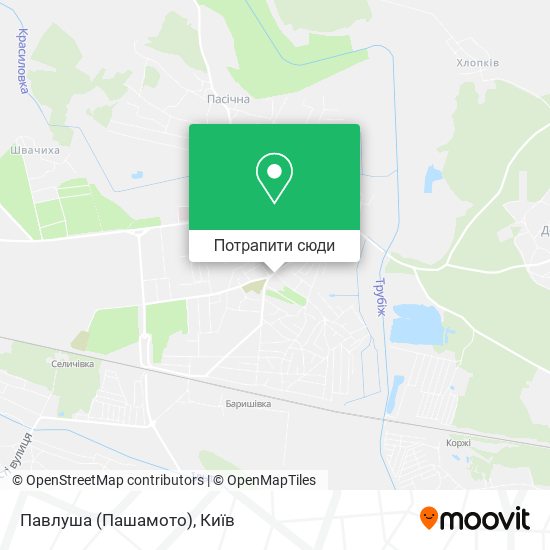 Карта Павлуша (Пашамото)