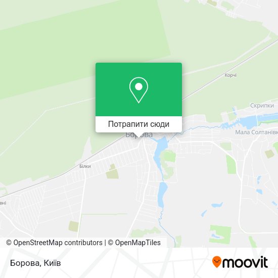 Карта Борова