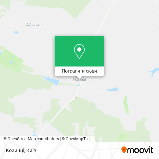 Карта Козинці