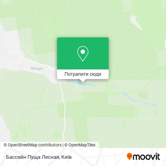 Карта Бассейн Пуща Лесная