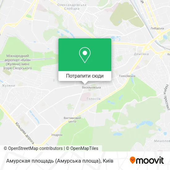 Карта Амурская площадь (Амурська площа)