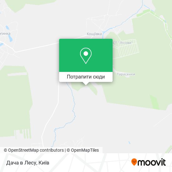 Карта Дача в Лесу