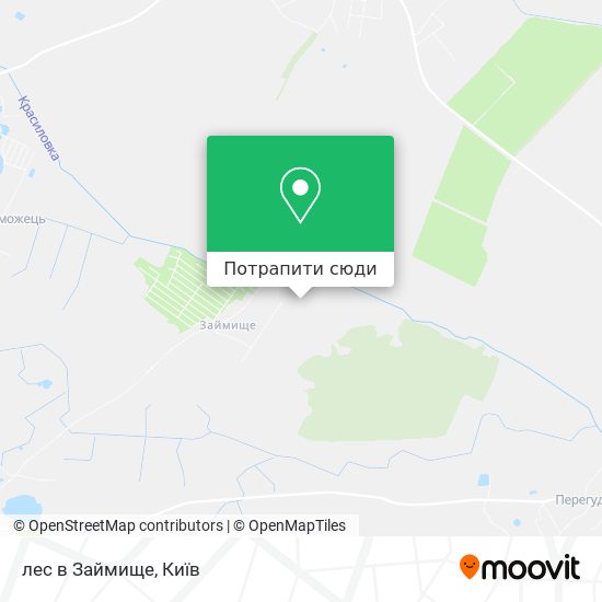 Карта лес в Займище