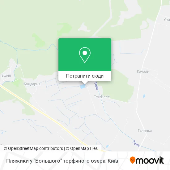 Карта Пляжики у "Большого" торфяного озера