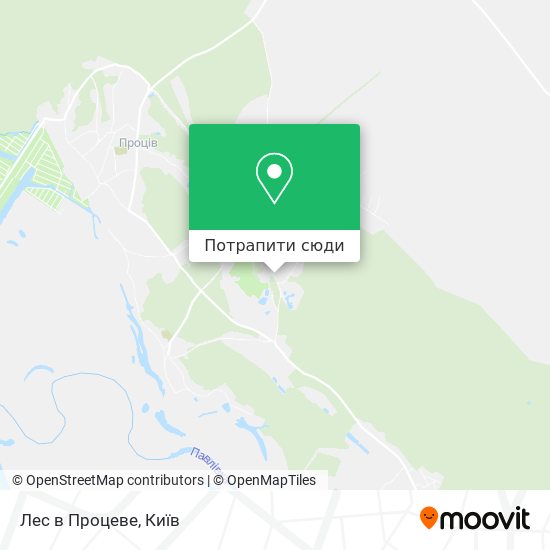 Карта Лес в Процеве