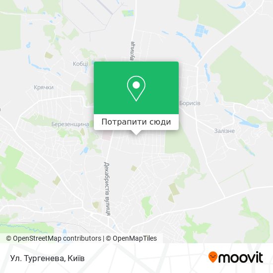 Карта Ул. Тургенева