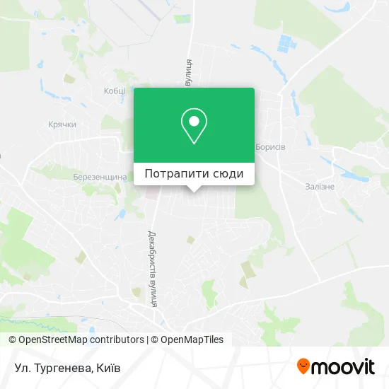 Карта Ул. Тургенева