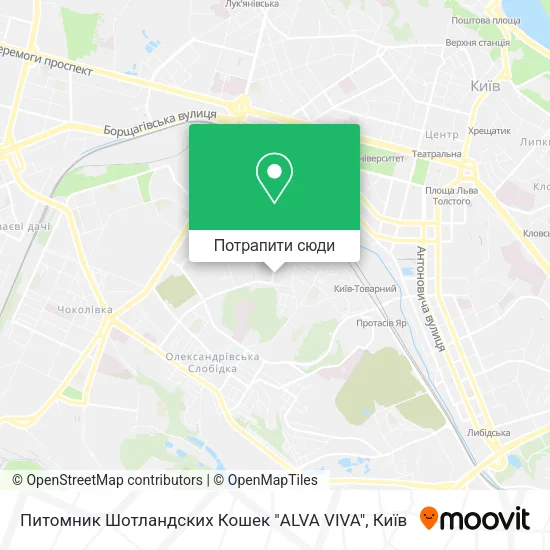 Карта Питомник Шотландских Кошек  "ALVA VIVA"