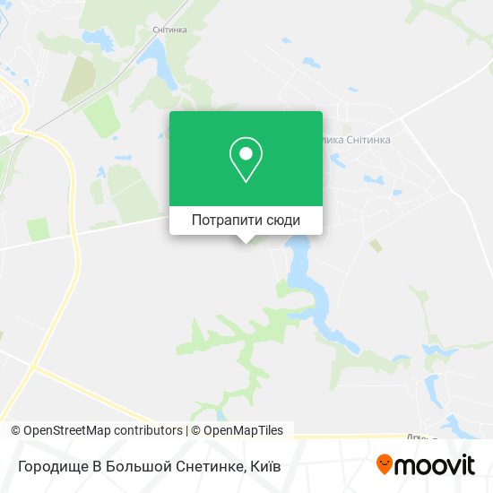 Карта Городище В Большой Снетинке