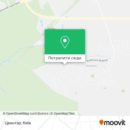 Карта Цвинтар