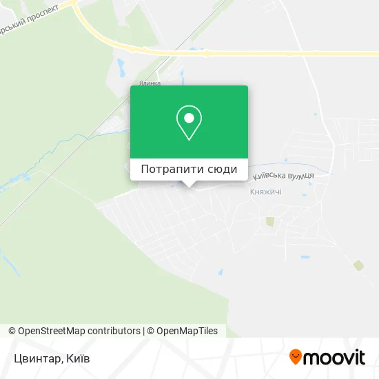 Карта Цвинтар