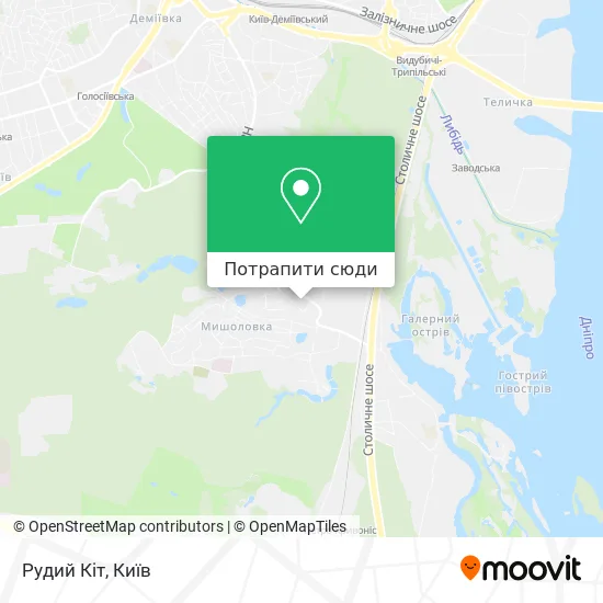 Карта Рудий Кіт