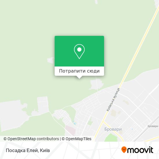 Карта Посадка Елей