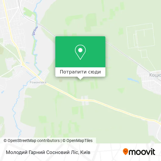 Карта Молодий Гарний Сосновий Ліс