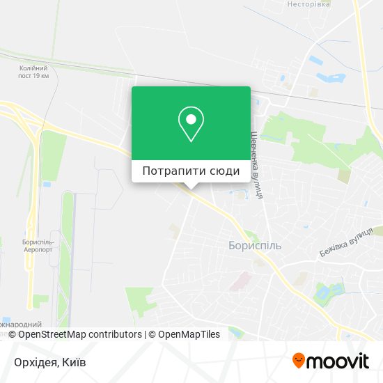 Карта Орхідея