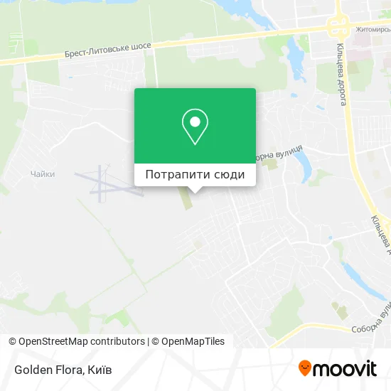 Карта Golden Flora