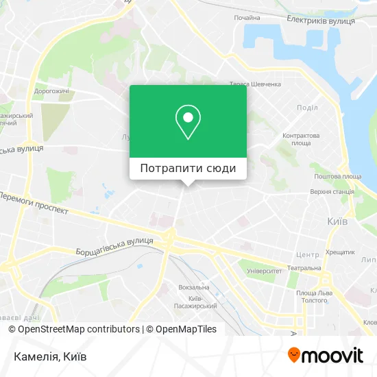 Карта Камелія