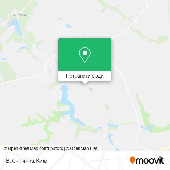 Карта В. Снітинка