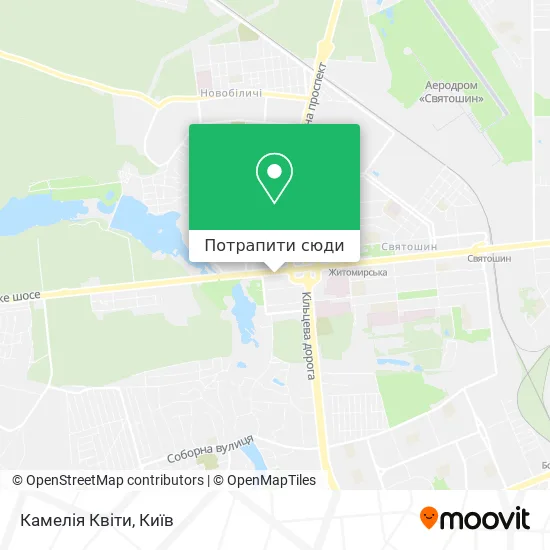Карта Камелія Квіти