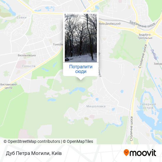 Карта Дуб Петра Могили