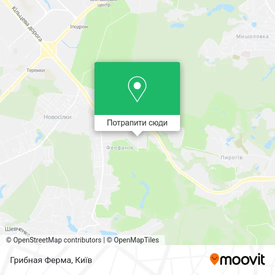 Карта Грибная Ферма