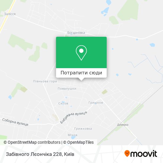 Карта Забівного Лєончіка 228