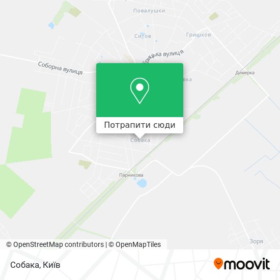 Карта Собака